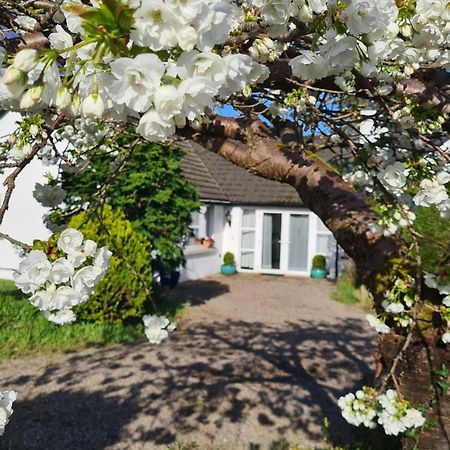 Apartament Nara Seaside Retreat Cultra Zewnętrze zdjęcie