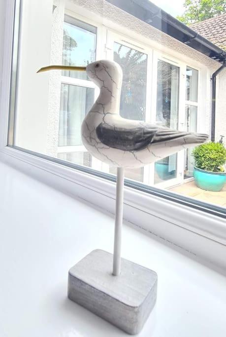 Apartament Nara Seaside Retreat Cultra Zewnętrze zdjęcie